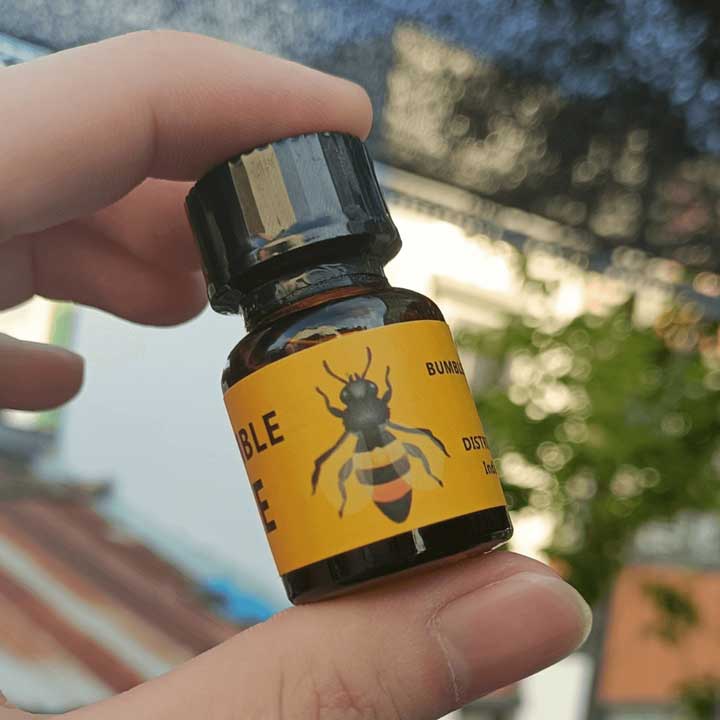 Popper Con Ong Vàng Bumble Bee Popper Con Ong Vàng Bumble Bee
