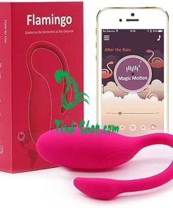 Trứng Rung Thiên Nga Magic Motion Flamingo